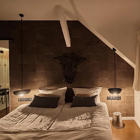 Gæstehus Butik Design Buda